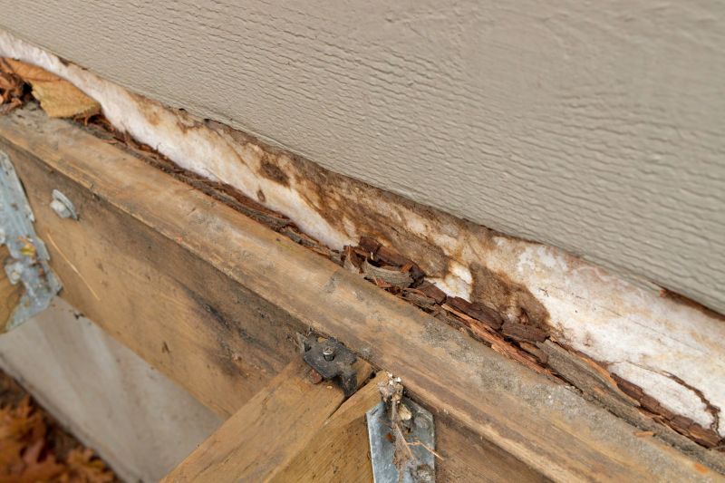 Wood Rot Repair For Decks, Porches, And Ramps